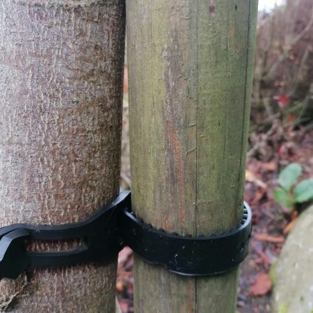 Tree ties, straps, cushions