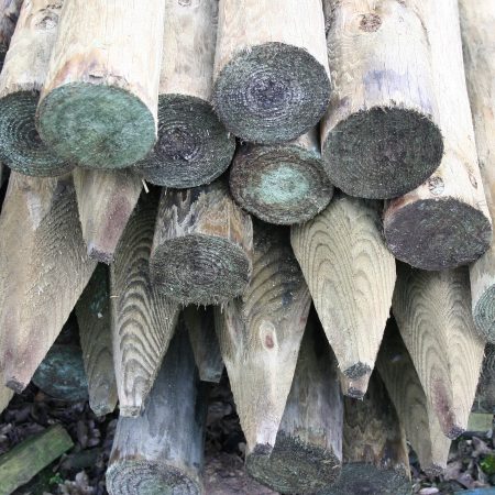 Round Tree Stakes