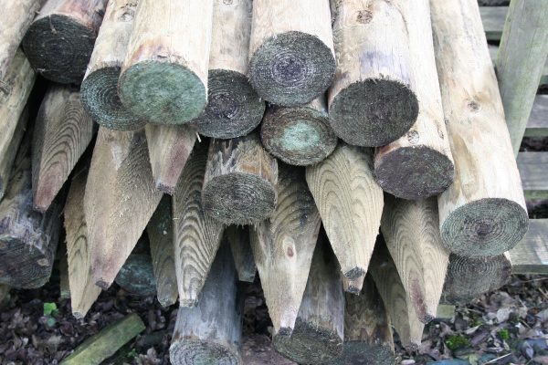 Round Tree Stakes