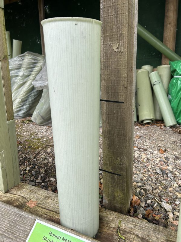 Shrub Shelter Guard 0.6m